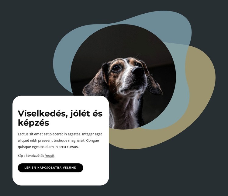 Viselkedés, jólét és képzés HTML Sablon