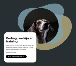 Gedrag, Welzijn En Training - HTML-Sjabloon Downloaden
