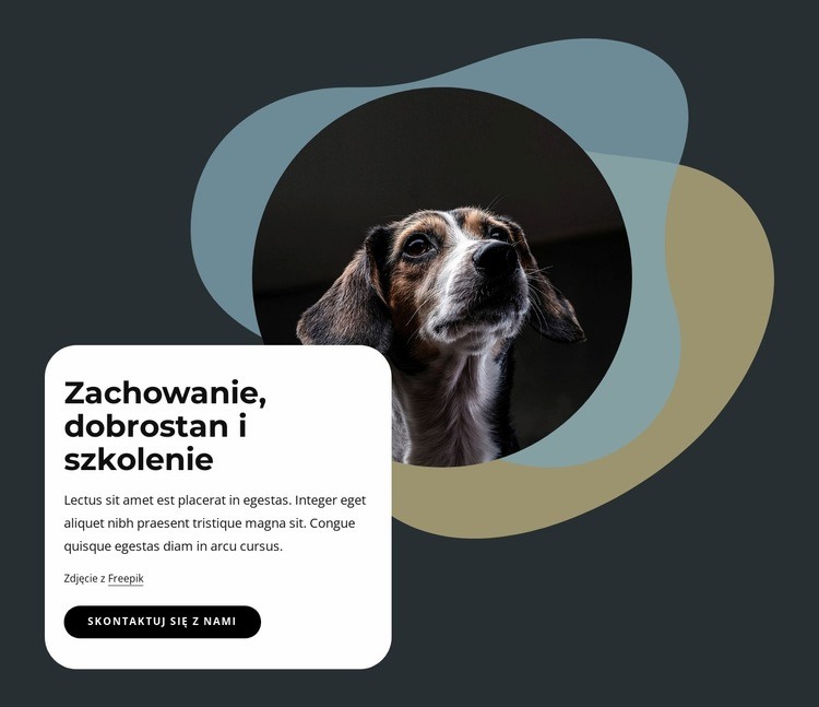 Zachowanie, dobrostan i szkolenie Szablony do tworzenia witryn internetowych