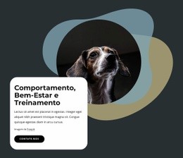 Comportamento, Bem-Estar E Treinamento - Página De Destino Gratuita, Modelo HTML5