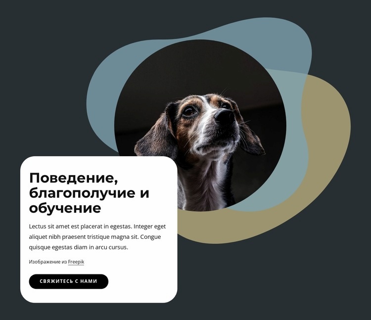 Поведение, благополучие и обучение HTML5 шаблон