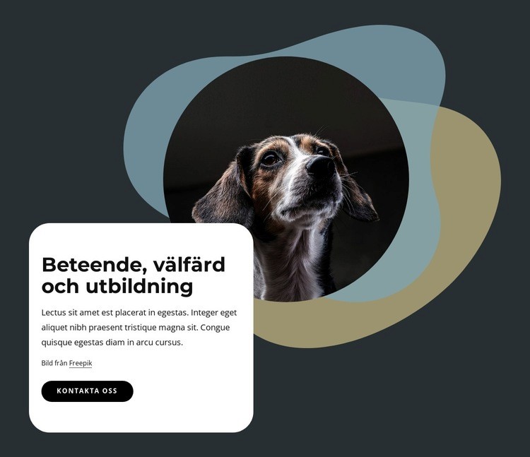 Beteende, välfärd och träning Hemsidedesign