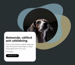 Beteende, Välfärd Och Träning - Målsida