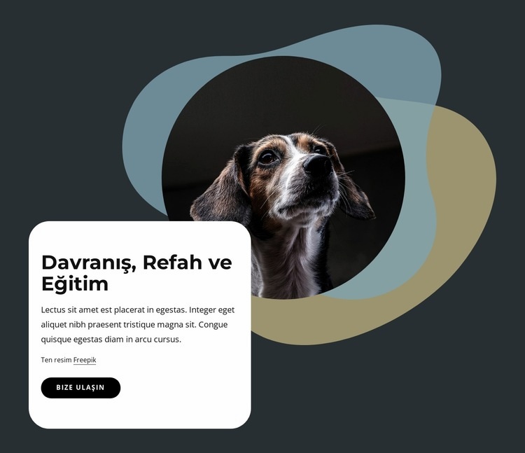 Davranış, refah ve eğitim Web Sitesi Mockup'ı