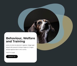 Behaviour, Welfare And Training - Mobile Landing Page