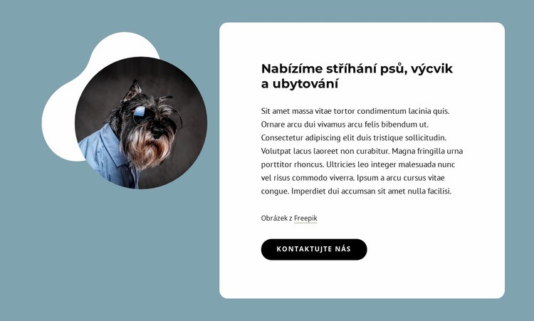 Nabízíme stříhání psů Šablona CSS