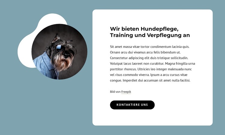 Wir bieten Hundepflege an HTML-Vorlage