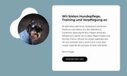 Wir Bieten Hundepflege An - HTML Website Maker