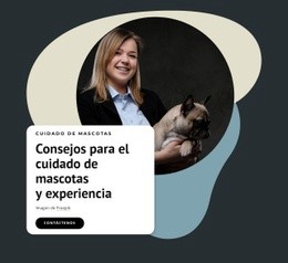 Consejos De Expertos Para Mascotas. - Creador De Sitios Web Sencillo