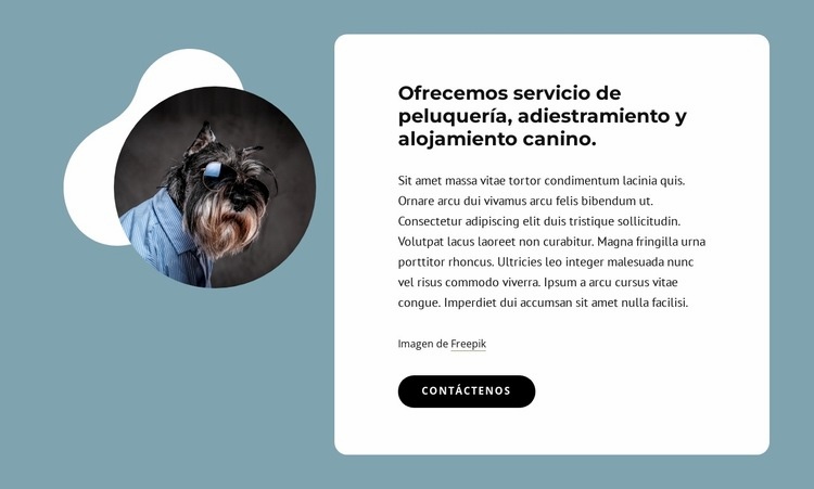 Ofrecemos peluquería canina Maqueta de sitio web