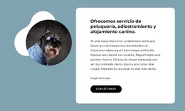 Ofrecemos Peluquería Canina: Plantilla HTML5 Adaptable