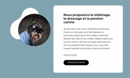 Nous Proposons Le Toilettage Canin - Belle Maquette De Site Web