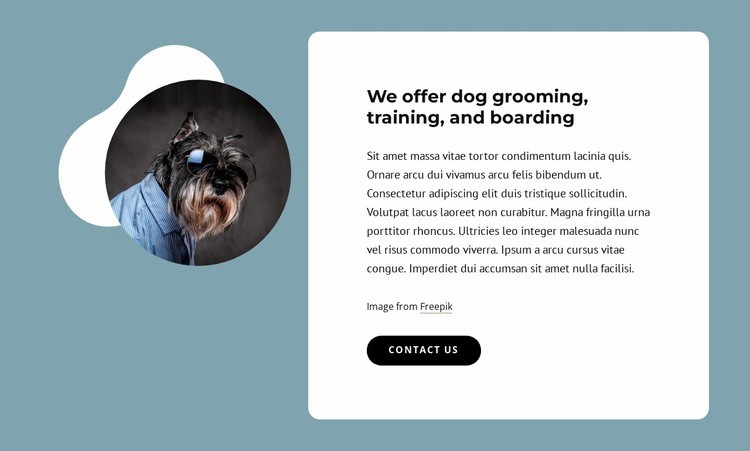 We offer dog grooming Homepage Design
