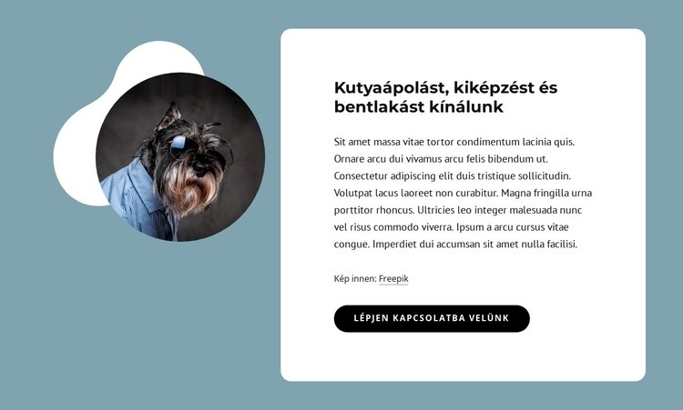 Kutyaápolást kínálunk Weboldal tervezés