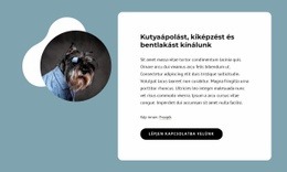 Kutyaápolást Kínálunk – Exkluzív WordPress Téma