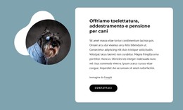 Offriamo Toelettatura Per Cani - Modello Di Pagina HTML