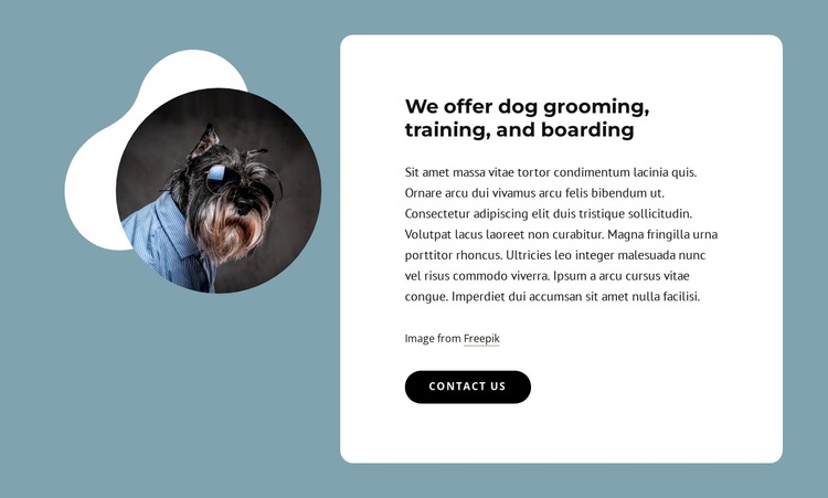 We offer dog grooming Joomla Page Builder