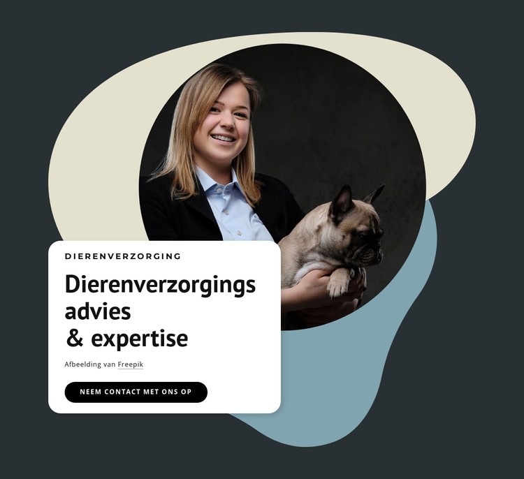 Deskundig advies voor huisdieren CSS-sjabloon