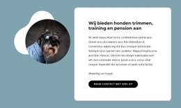 Wij Bieden Hondentrimsalon Aan - Websitesjablonen