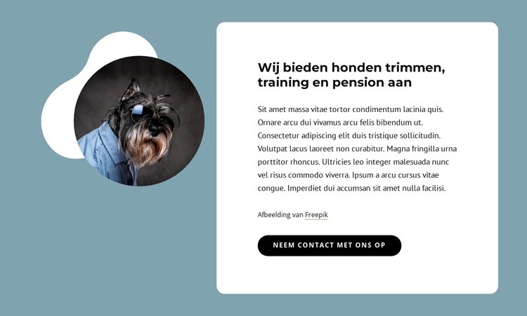 Wij bieden hondentrimsalon aan Website ontwerp