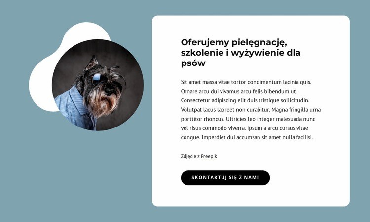 Oferujemy pielęgnację psów Kreator witryn internetowych HTML