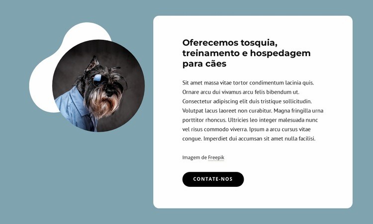 Oferecemos tosa de cães Maquete do site