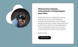 Oferecemos Tosa De Cães - Tema WordPress Exclusivo