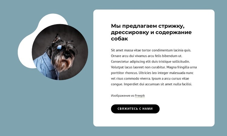 Предлагаем стрижку собак Конструктор сайтов HTML