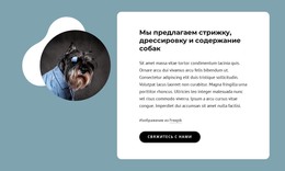 Предлагаем Стрижку Собак – Шаблон HTML-Страницы