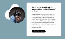 Бесплатный Конструктор Веб-Сайтов Для Предлагаем Стрижку Собак