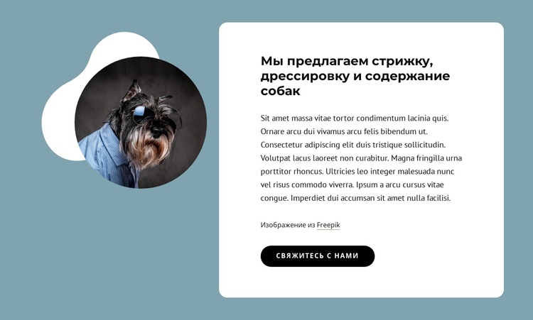 Предлагаем стрижку собак WordPress тема