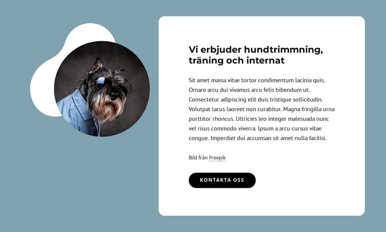 Vi erbjuder hundvård WordPress -tema