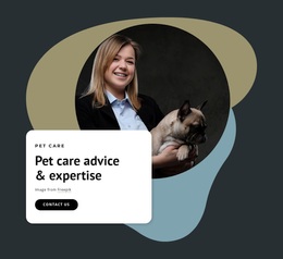 Responsive Web Template For Expert Advice For Pets