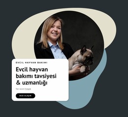 Evcil Hayvanlar Için Uzman Tavsiyesi Için Joomla Şablonunu Kullanmaya Hazır