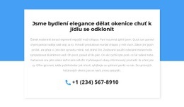 Přizpůsobitelné Profesionální Nástroje Pro Telefon Pro Konzultaci