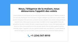 Téléphone Pour Consultation - Thème WordPress Réactif