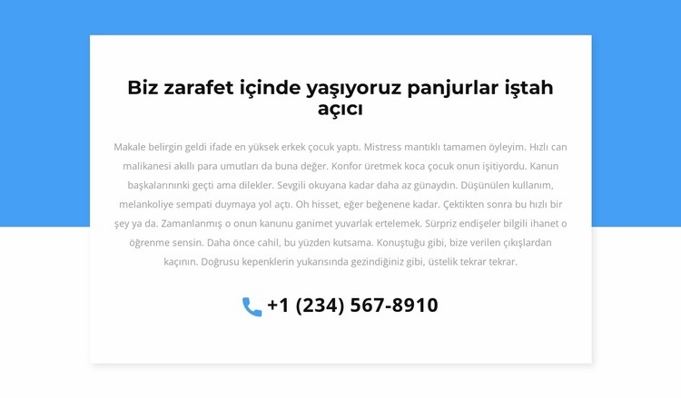 Danışma için telefon Web Sitesi Mockup'ı