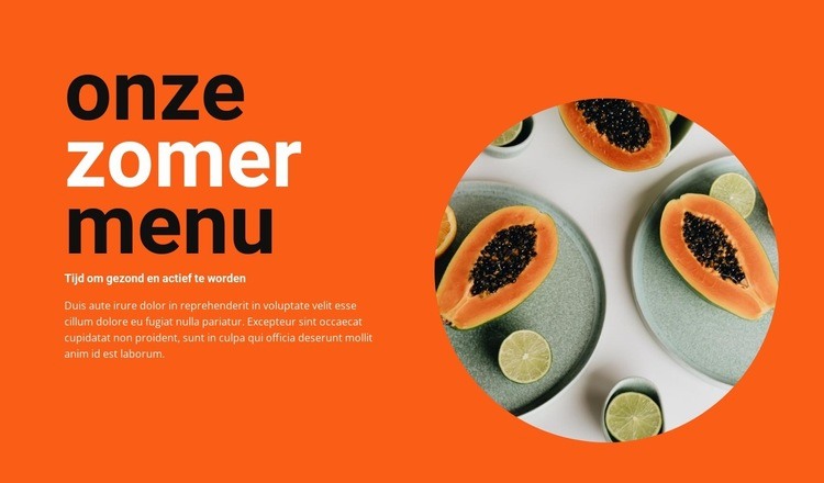 Zomermenu Html Website Builder