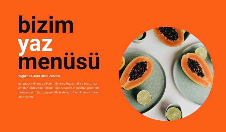 Yaz menüsü Web sitesi tasarımı