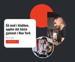 Det Bästa Gymmet I New York