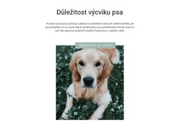 Váš Nejvěrnější Přítel - Nejlepší HTML Šablona