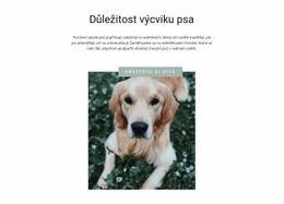 Webová Inspirace Pro Váš Nejvěrnější Přítel