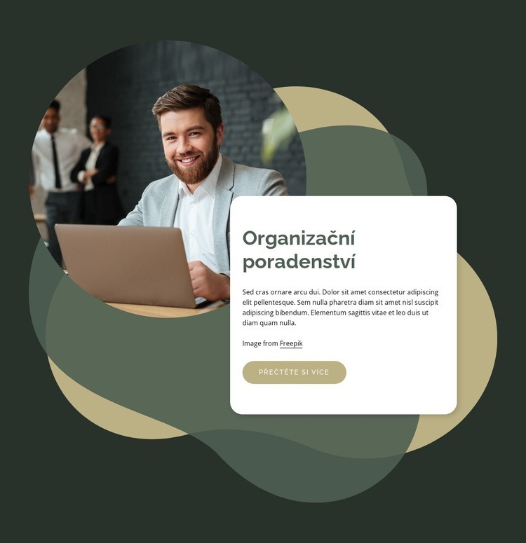 Poradenství pro lidi a organizace Téma WordPress