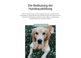 Dein Treuester Freund - Kostenloses Website-Design