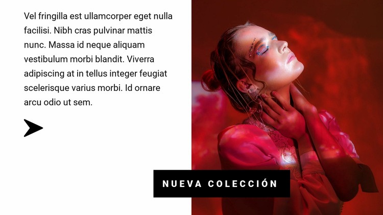 Colección en colores rojos Maqueta de sitio web