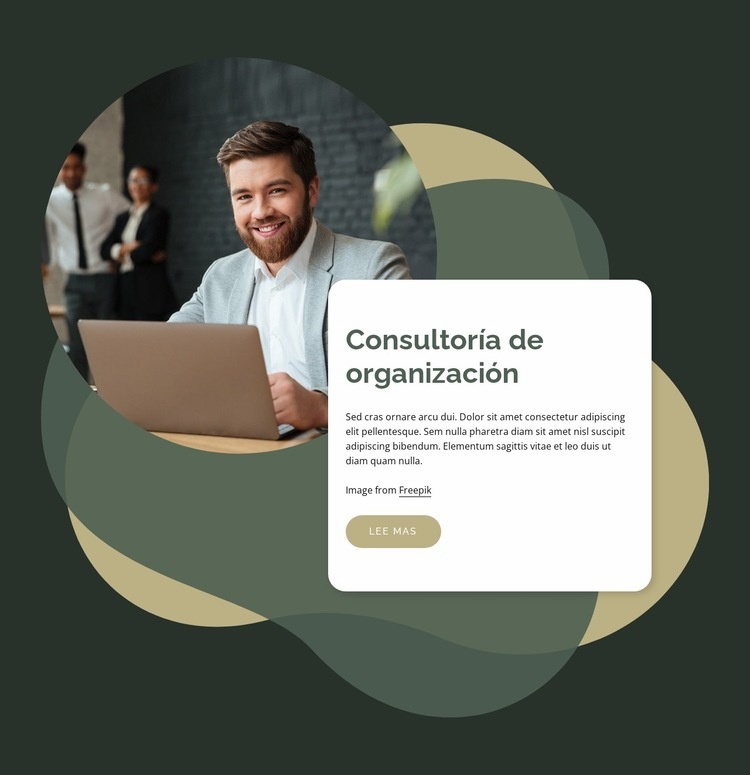 Consultoría de personas y organizaciones. Página de destino