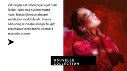 Collection Aux Couleurs Rouges – Modèle De Site Web Personnel