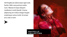 Collection Aux Couleurs Rouges - Thème WordPress Exclusif