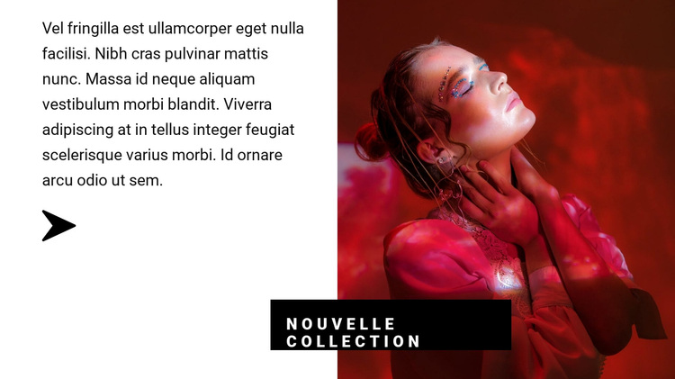 Collection aux couleurs rouges Thème WordPress