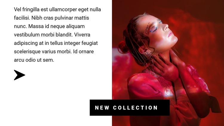 Collection in red colors Homepage Design